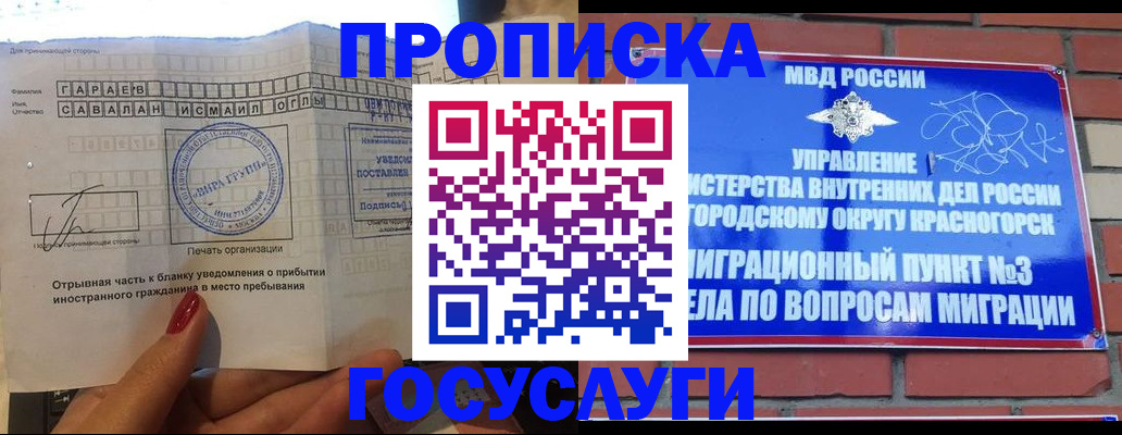 регистрация для дет. сада в Пушкино